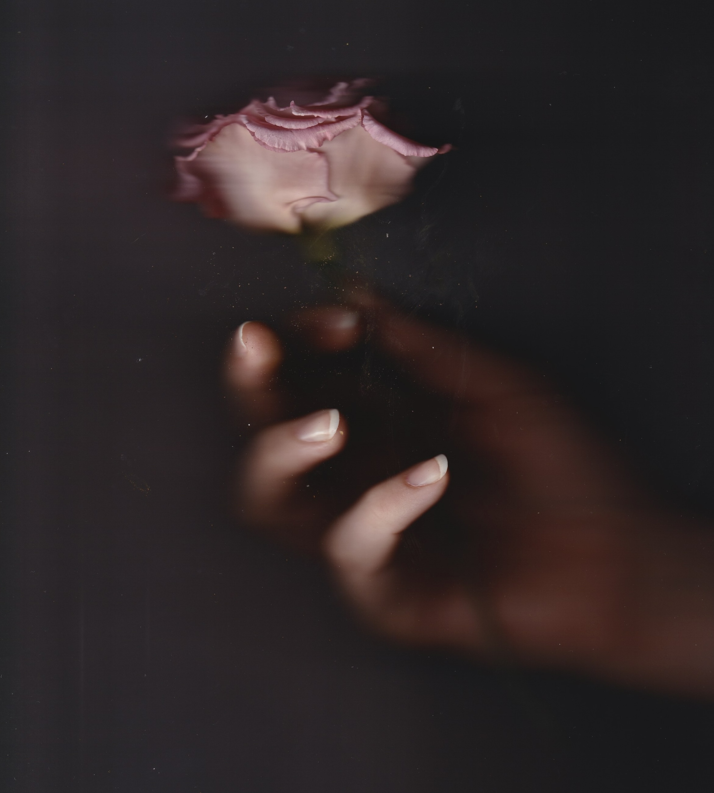 Fleur de lumière